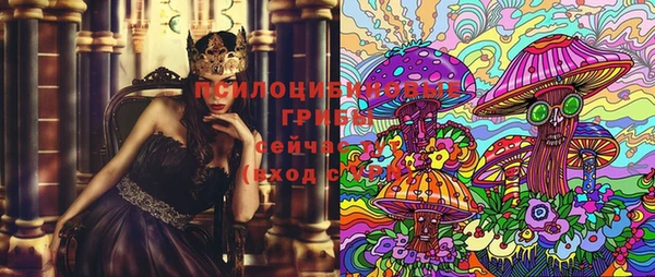 PSILOCYBIN Абдулино