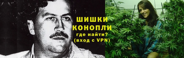 PSILOCYBIN Абдулино
