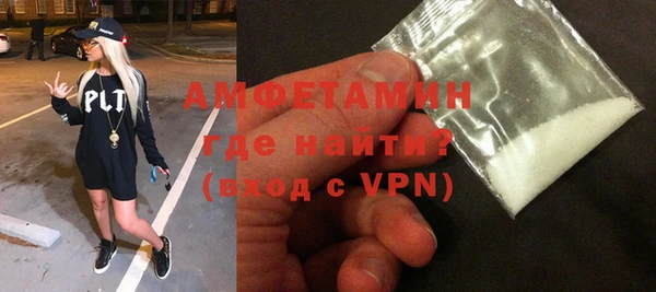 индика Гусев