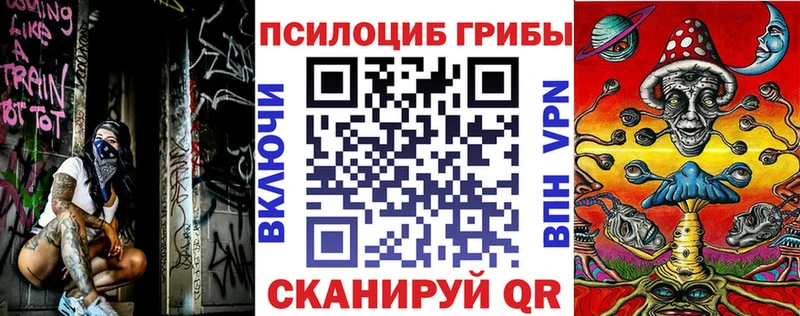 Псилоцибиновые грибы GOLDEN TEACHER  Абинск 