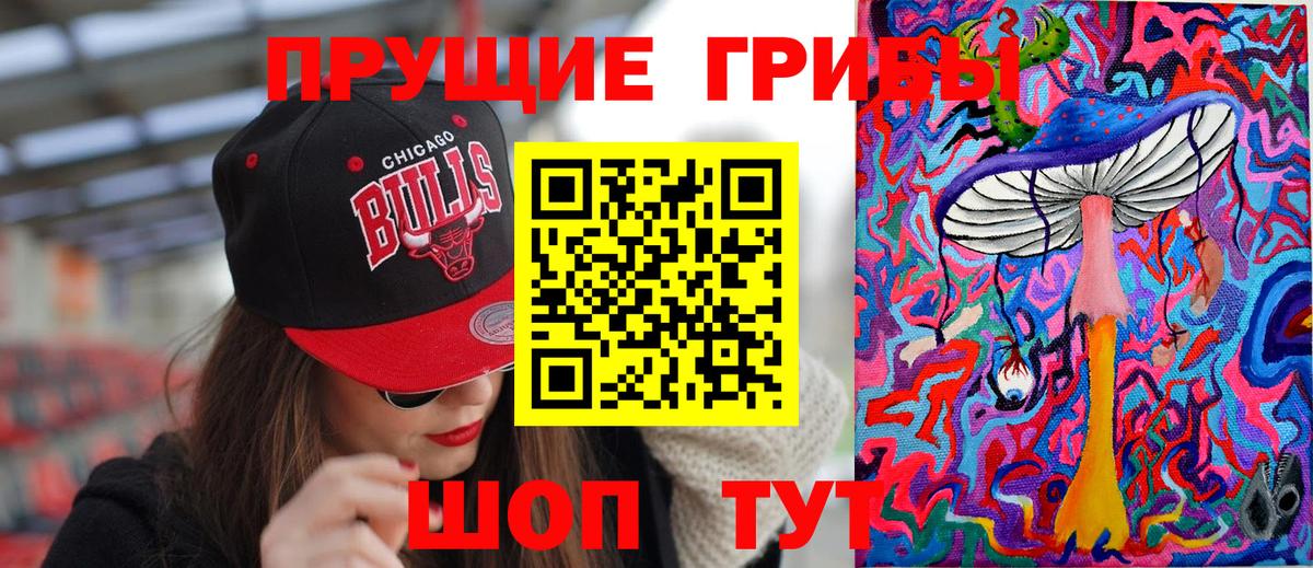 Галлюциногенные грибы Cubensis Абинск