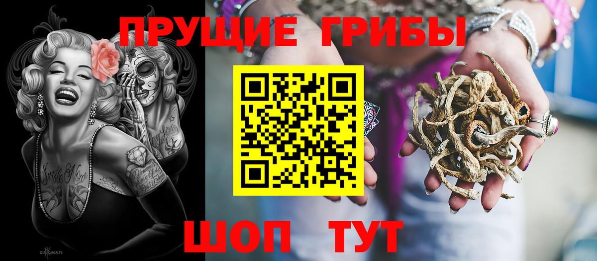 где купить наркотик  Псилоцибиновые грибы мицелий  Вход с VPN  Абинск 